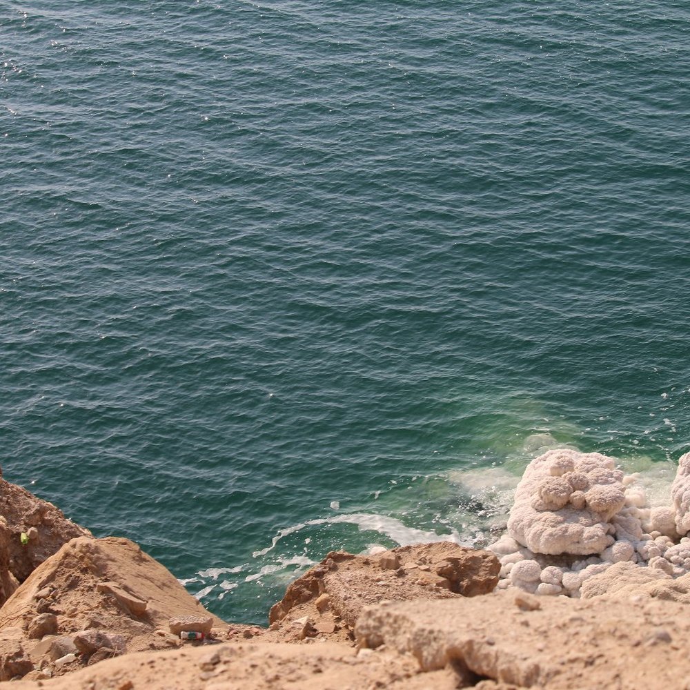 Meet your Posher, Audrey